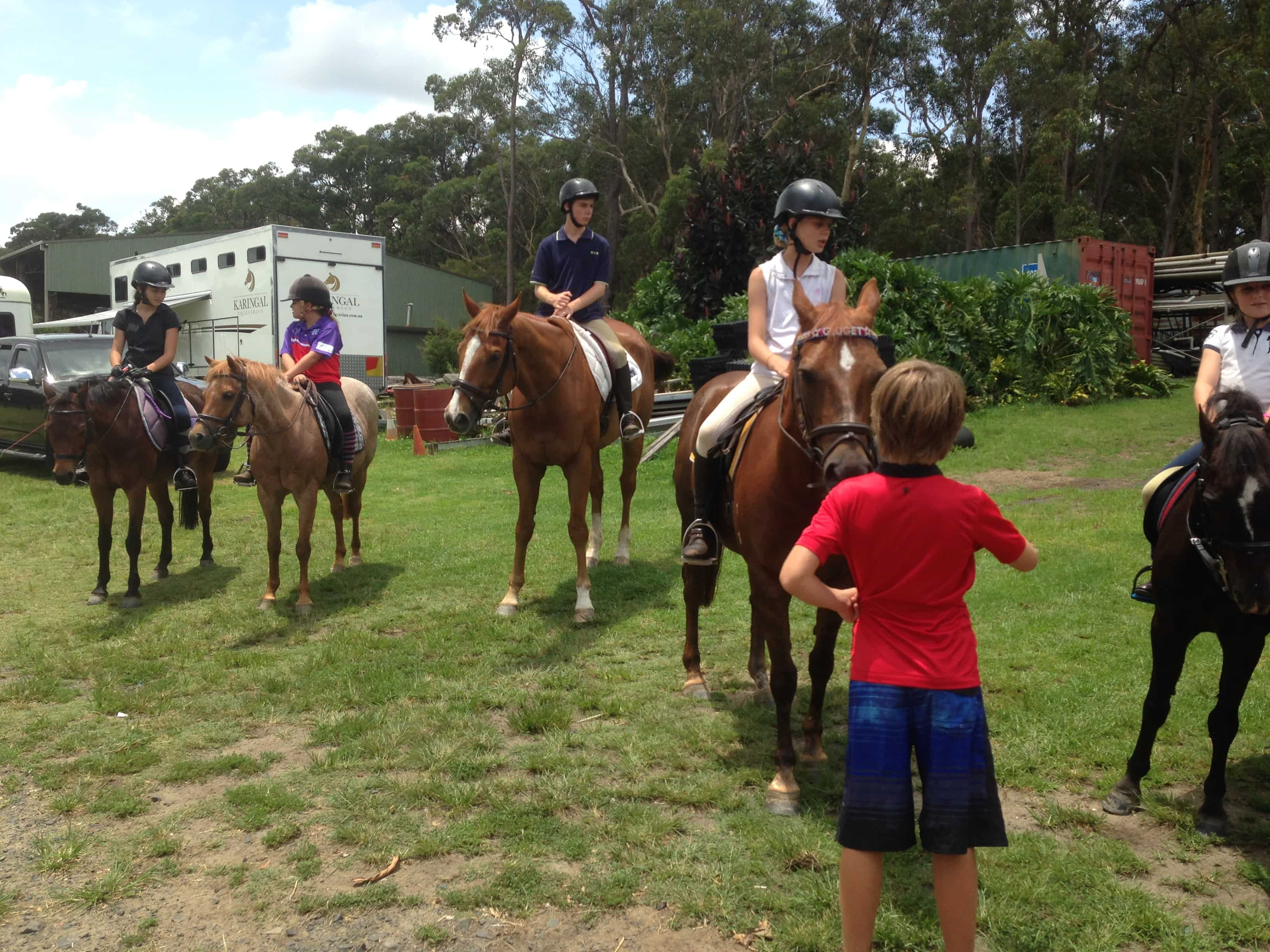 Horse Riding, Agistment and Lessons at Karingal Equestrian | Karingal ...